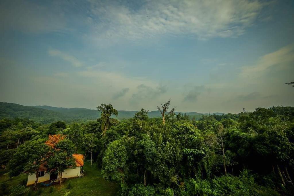 Aadhavana Homestay - Sakleshpur Maranhalli Экстерьер фото